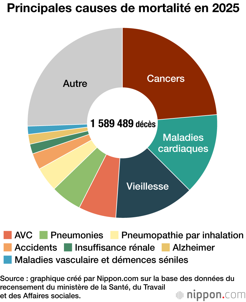 Principales causes de mortalité en 2025