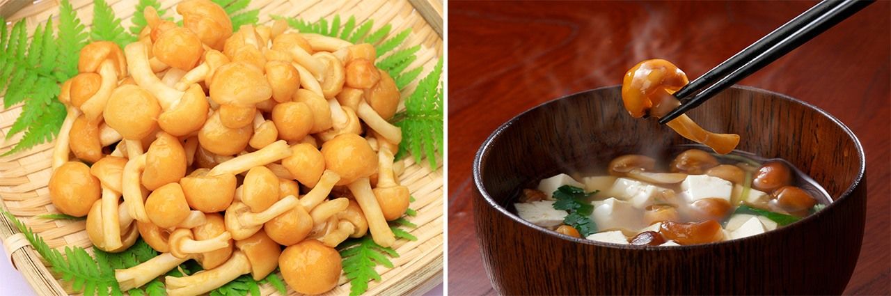 Des champignons nameko crus à gauche et un bol de soupe de miso avec nameko à droite