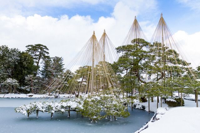 Des cordes sont disposées au-dessus des arbres pour les protéger des fortes chutes de neige au jardin de Kenrokuen, à Kanazawa, dans la préfecture d’Ishikawa.