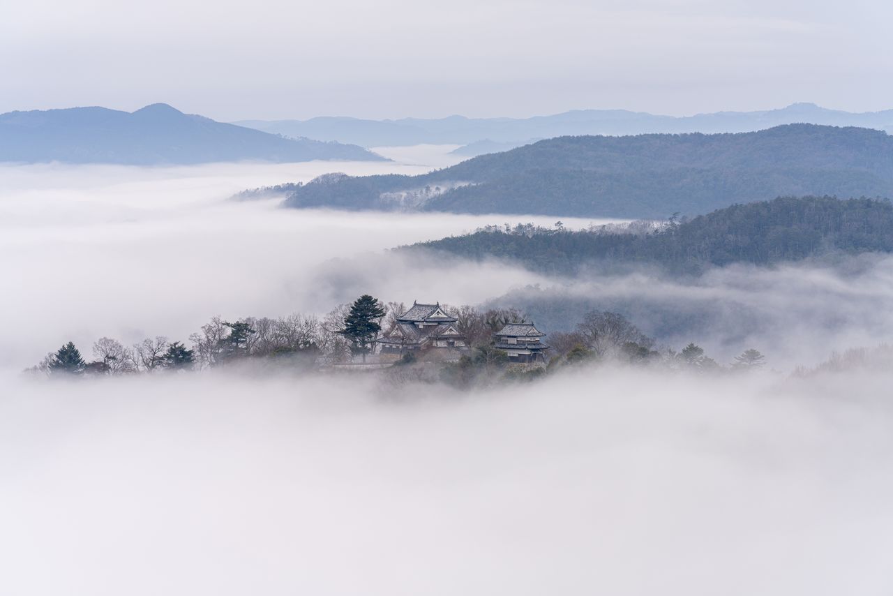 Le magnifique château de Bitchû Matsuyama, classé parmi les trois grands yamajiro du Japon, est souvent appelé « le château dans le ciel ». Il donne l’impression de flotter sur une mer de nuages. (Pixta)