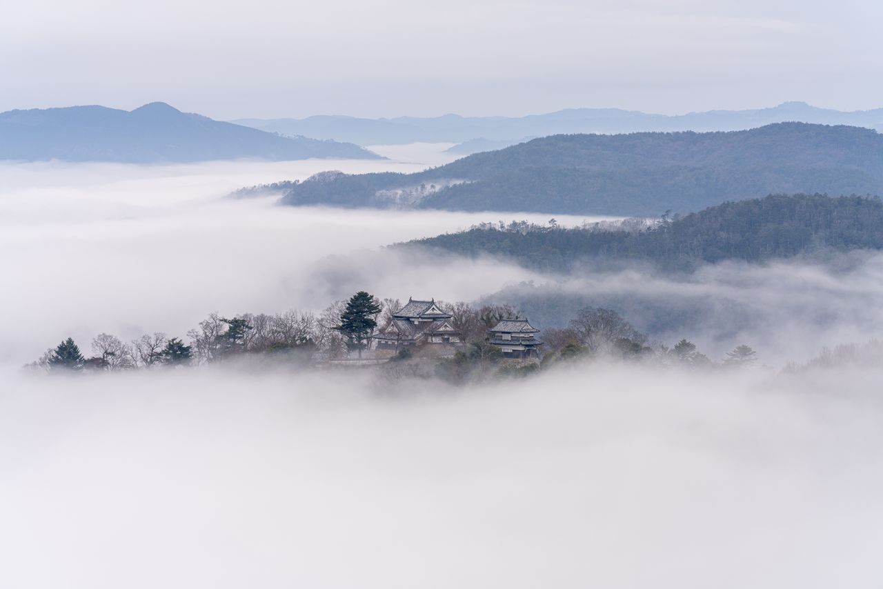 Le magnifique château de Bitchû Matsuyama, classé parmi les trois grands yamajiro du Japon, est souvent appelé « le château dans le ciel ». Il donne l’impression de flotter sur une mer de nuages. (Pixta)