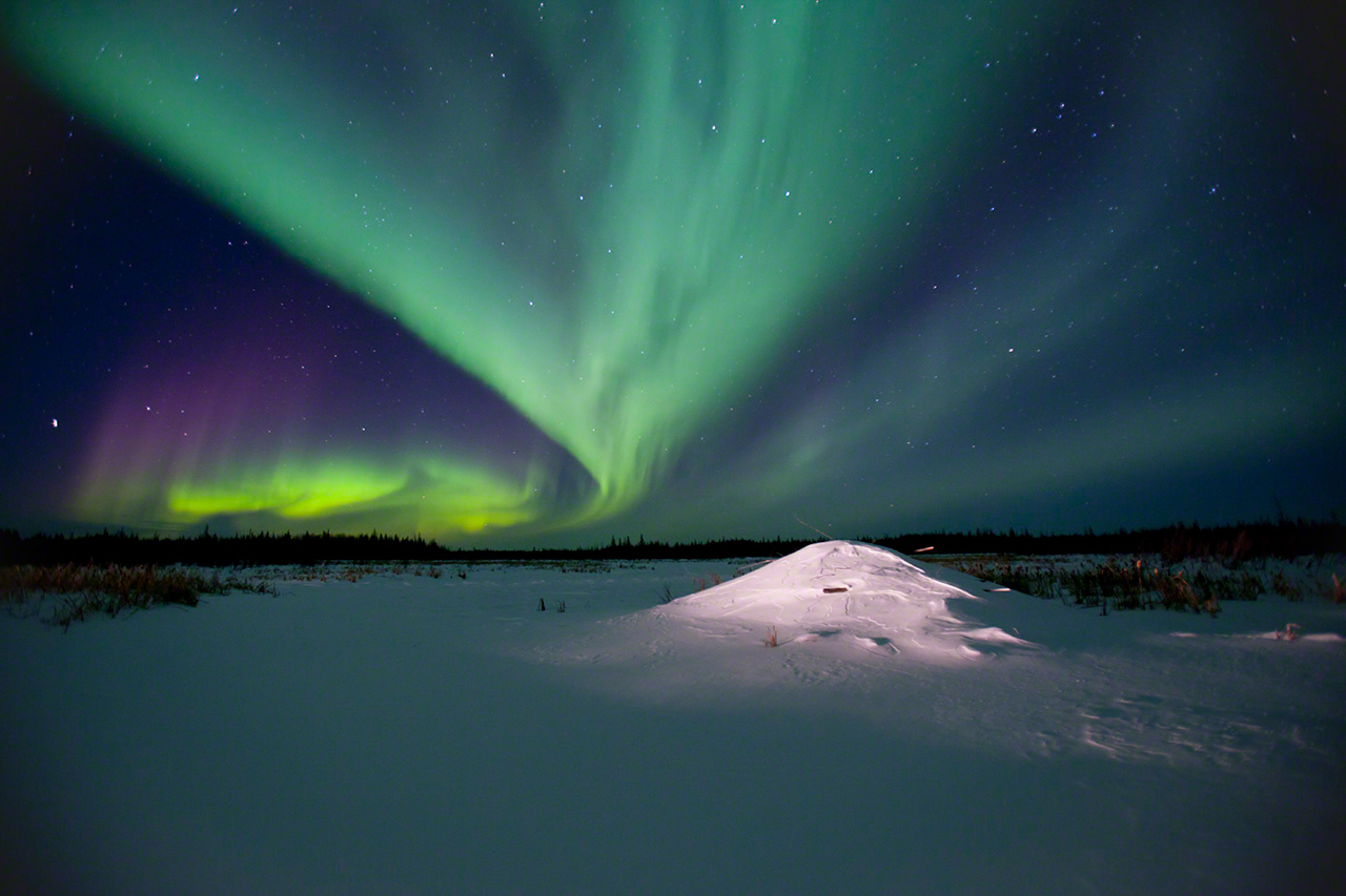 Une aurore bor&eacute;ale &eacute;blouissante, au-dessus d&rsquo;une hutte de castor recouverte par la neige (2011).