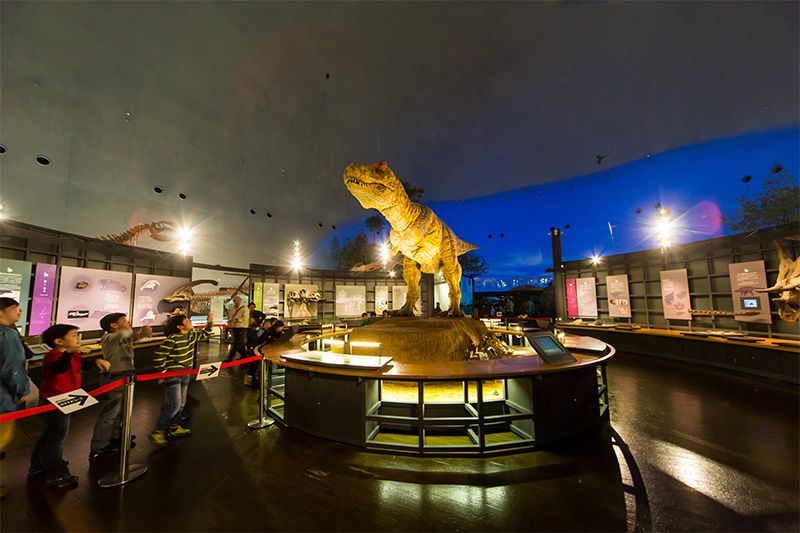 Le T-rex domine le hall principal du musée.