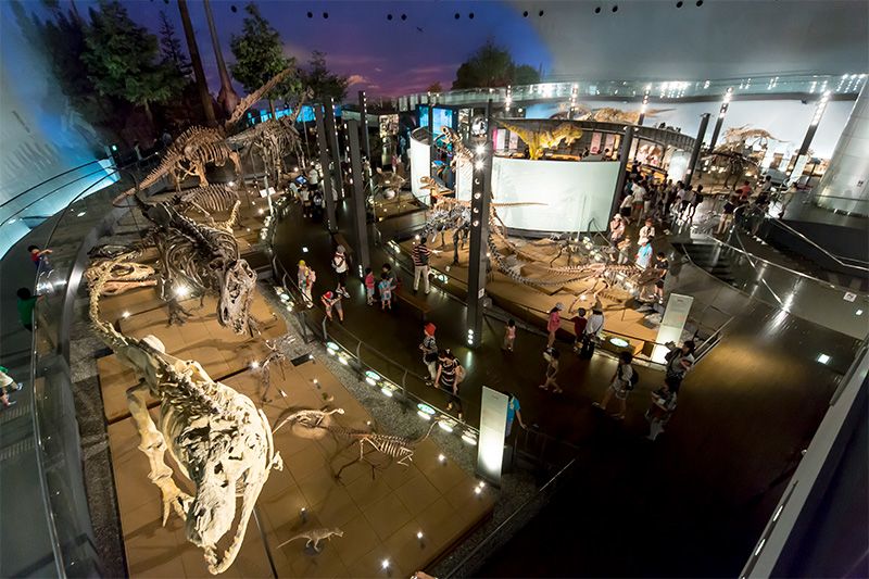 Les 44 squelettes complets du hall principal sont disposés aux côtés d’un diorama géant, exhibant les découvertes de dinosaures en Chine, au Japon et dans le reste de l’Asie.