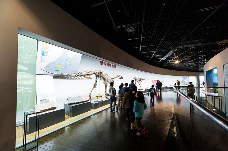 Les dinosaures de la région de Fukui comprennent des fossiles, des squelettes reconstruits, des maquettes de fukuisaurus et d’autres découvertes locales.