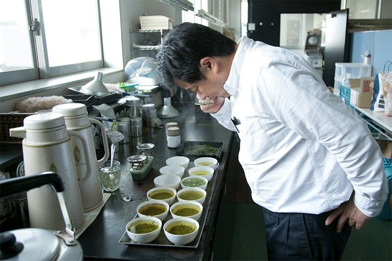 Après la récolte, Suzuki Shigehiko prélève dans chacun de ses centres de production plus de cent échantillons de feuilles de thé et les inspecte minutieusement chaque matin.