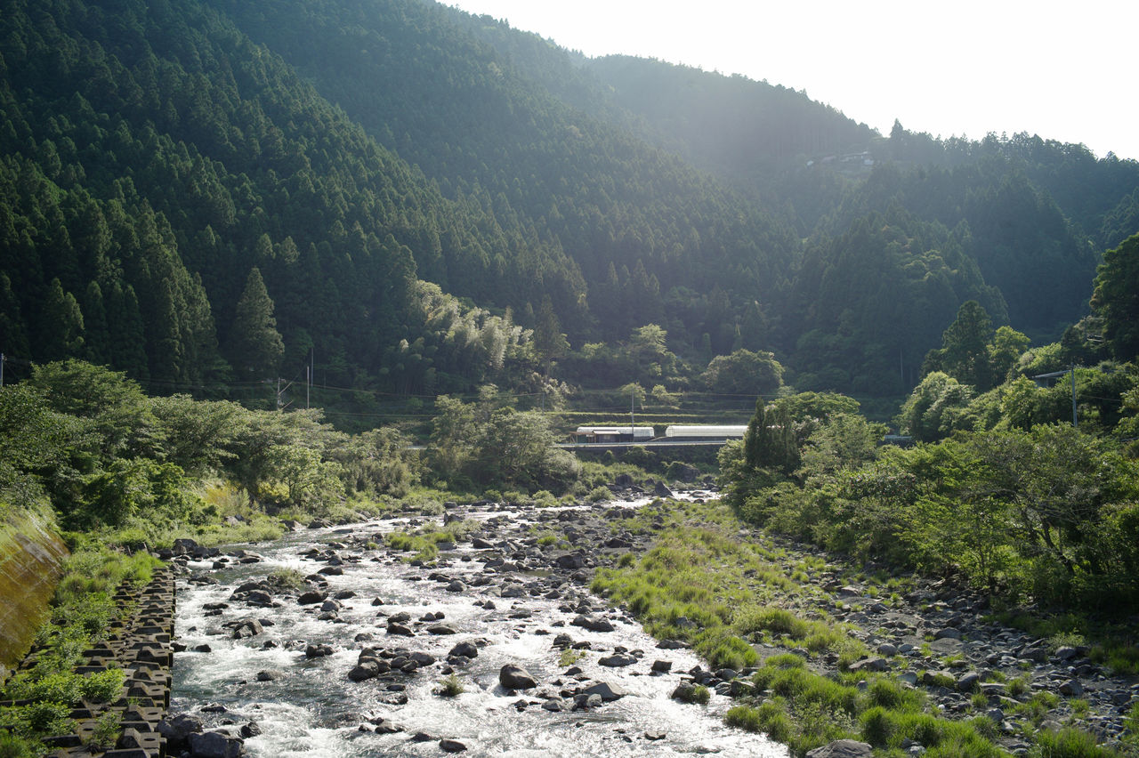 À Kamikatsu, la beauté de la nature est à profusion.