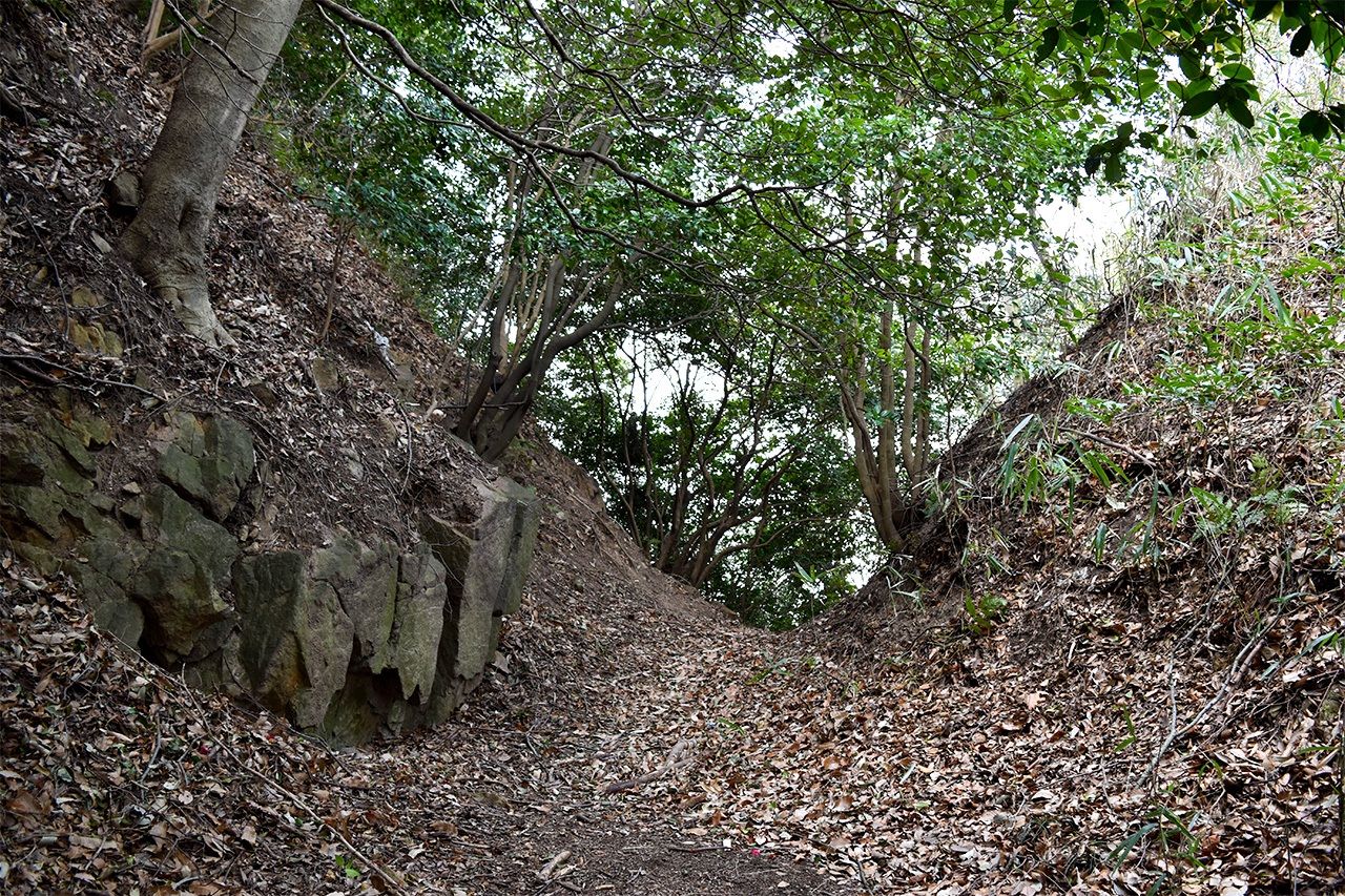 Le horikiri des ruines du château de Iimori, dans la préfecture d’Osaka