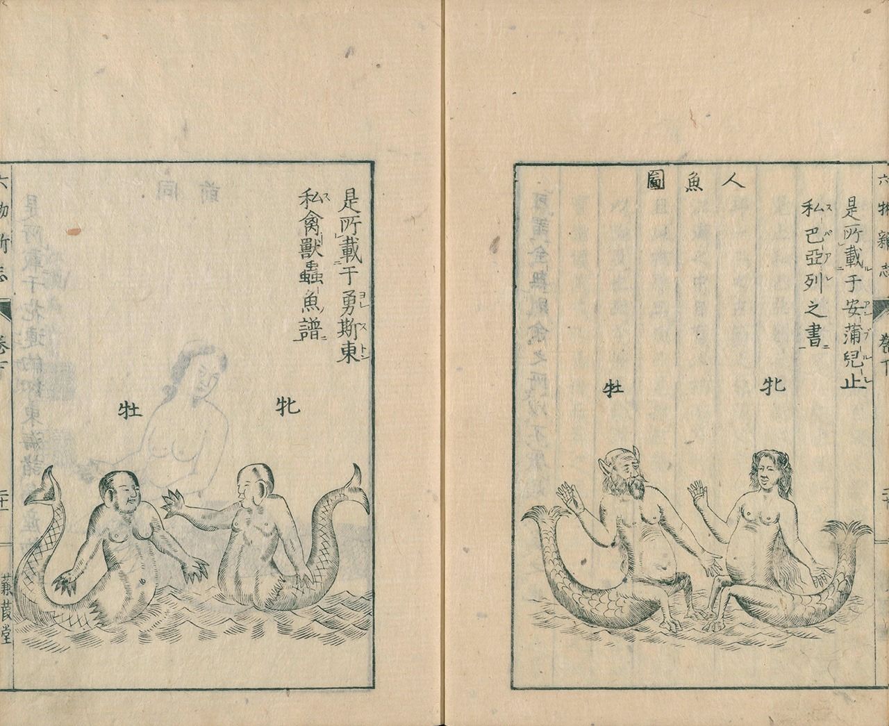 Illustrations des sirènes dans le Rokumotsu shinshi (« Nouveau traité sur six choses ») empruntées à des travaux de John Jonston (à gauche) et d’Ambroise Paré. (Illustration avec l’aimable autorisation de la Collection numérique de la Bibliothèque nationale de la Diète).