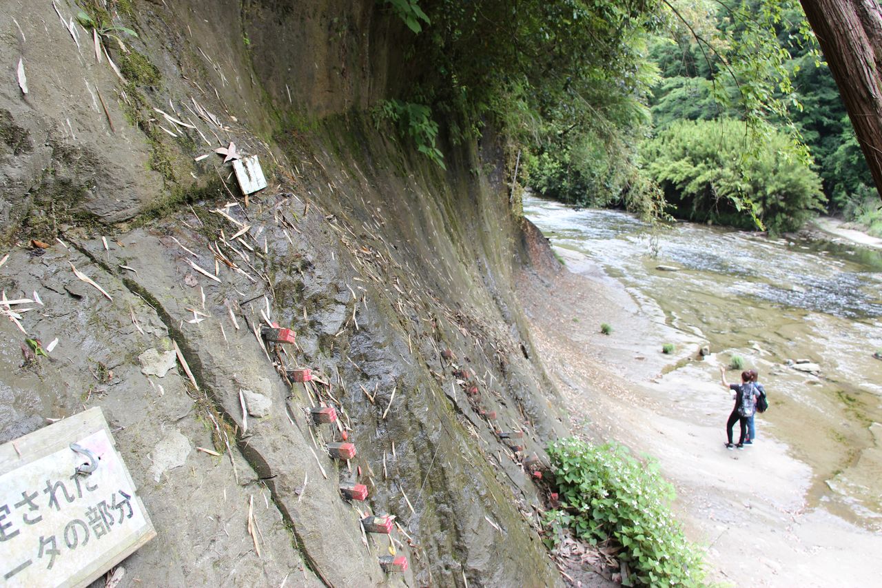 La couche géologique à Ichihara dans la préfecture de Chiba (photo prise en juin 2018).