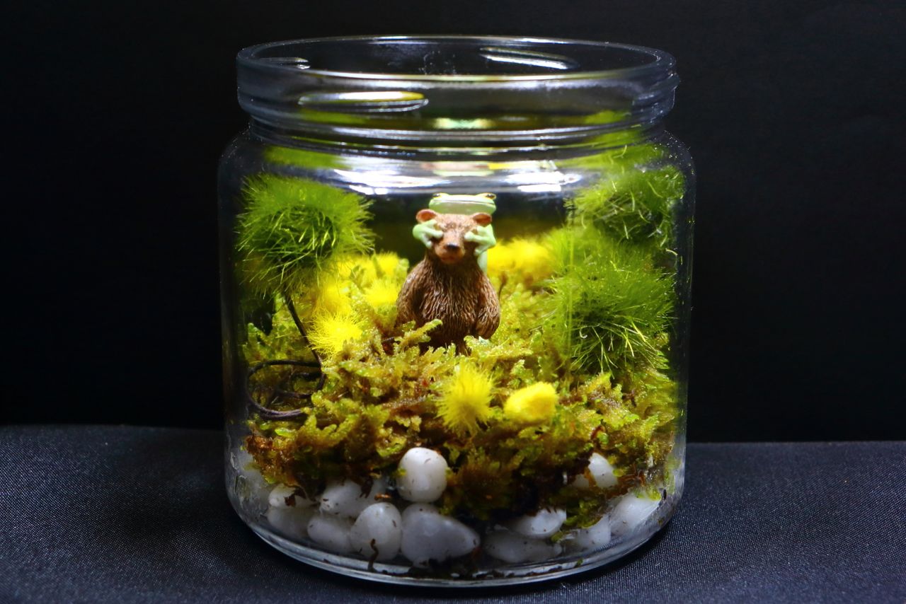 Mousse dans un terrarium, avec une figurine animale
