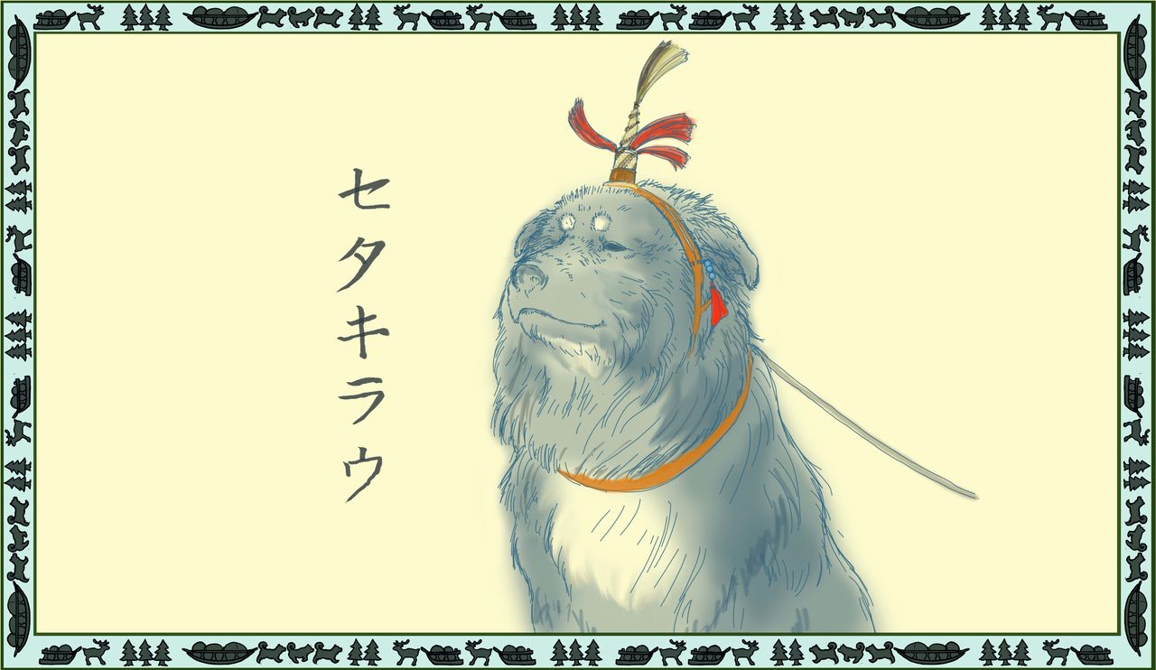 Sakhaline se situe à la frange méridionale de la culture des traîneaux à chiens en Asie de l’Est. L’équipement et les noms en usage chez le Aïnous de Sakhaline ont une grande similarité avec ceux des populations nordiques. L’illustration représente un chien de tête arborant un seta kiraw.