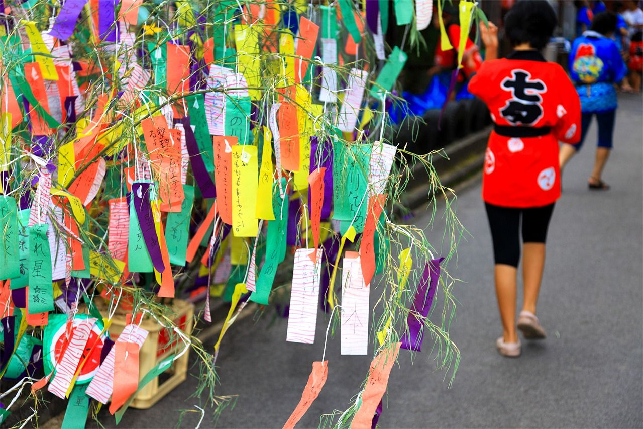 Lors de la fête du Tanabata, chacun écrit son souhait sur un morceau de papier tanzaku et puis l’attache à une branche de bambou.