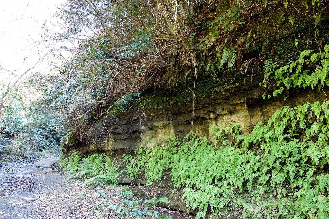 Asaina présente des signes évidents de l'endroit où la roche a été taillée pour creuser le passage.