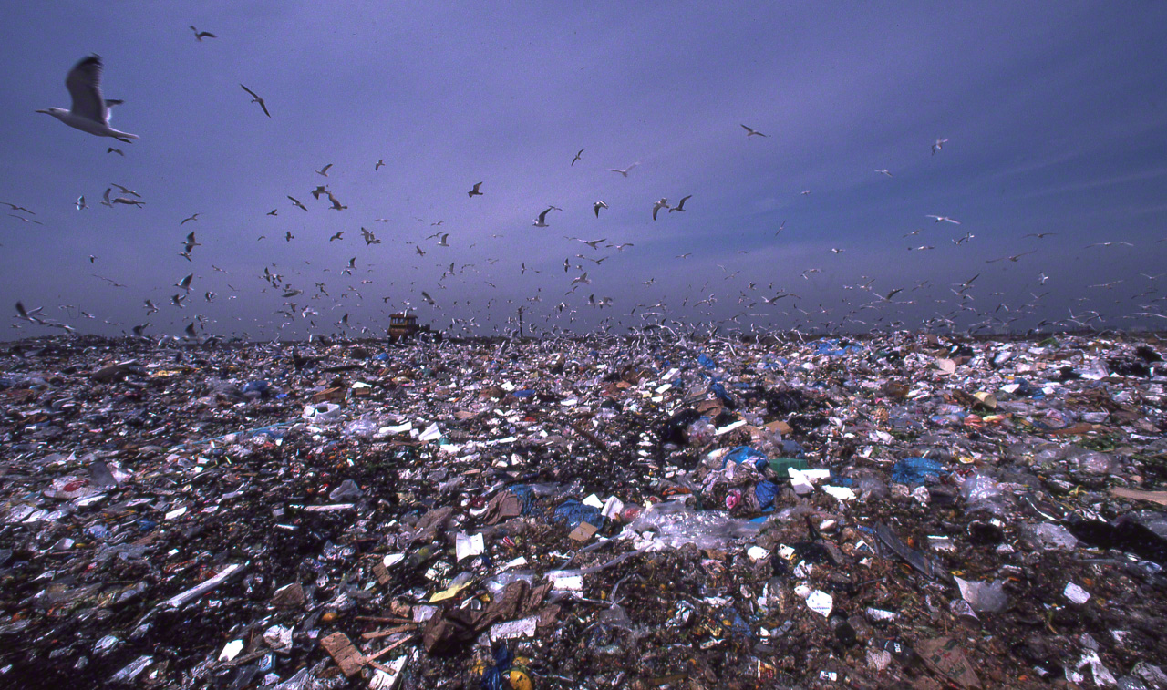 Cette photo a &eacute;t&eacute; prise il y a 42 ans. Pendant la p&eacute;riode de croissance &eacute;conomique rapide, ce site h&eacute;bergeait un centre d'enfouissement des d&eacute;chets, mais aujourd'hui il conna&icirc;t une nouvelle vie en tant que parc Yume no Shima (&Icirc;le du r&ecirc;ve), &agrave; Tokyo.