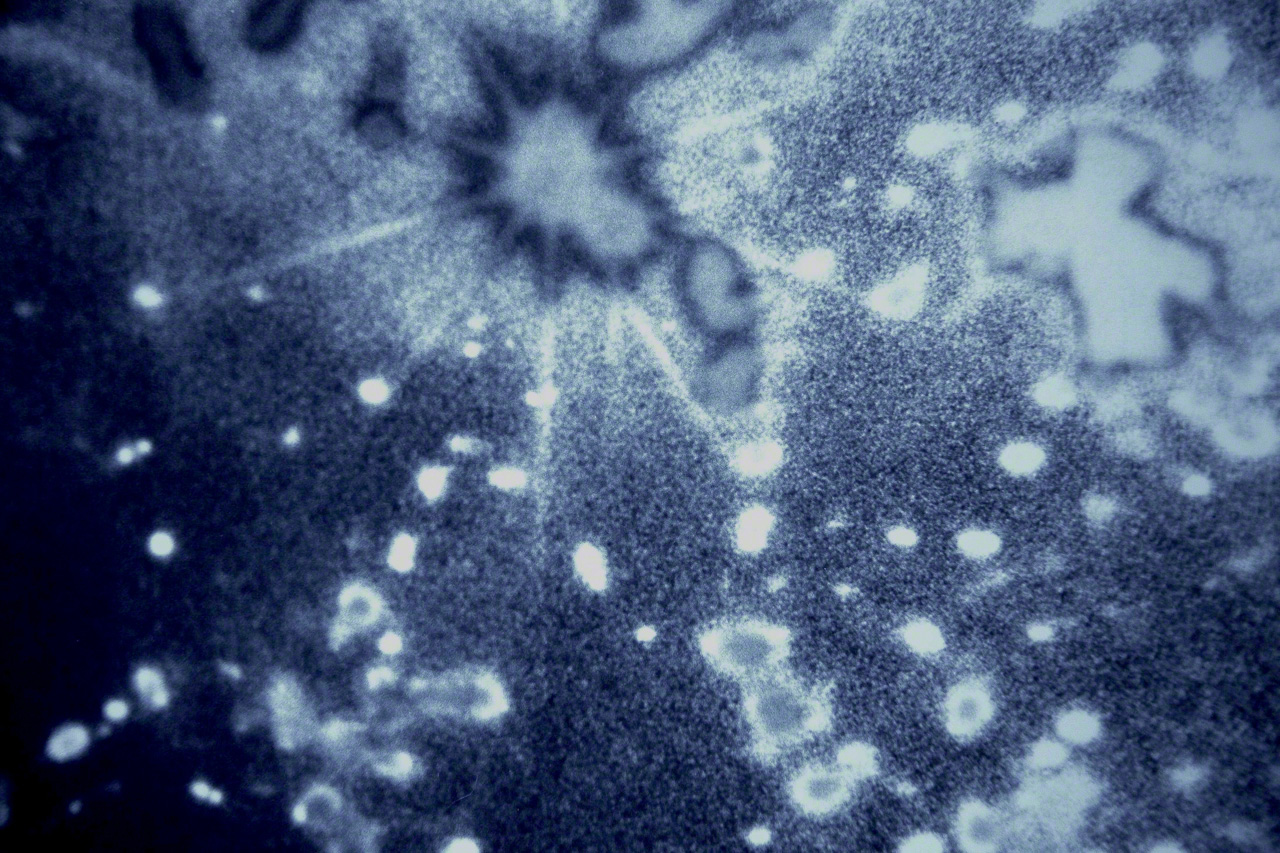  Parfois, si je regarde suffisamment longtemps la lumi&egrave;re du soleil ruisselant &agrave; travers la canop&eacute;e, j'ai l'impression d'avoir remont&eacute; le temps jusqu'&agrave; la naissance de l'univers.