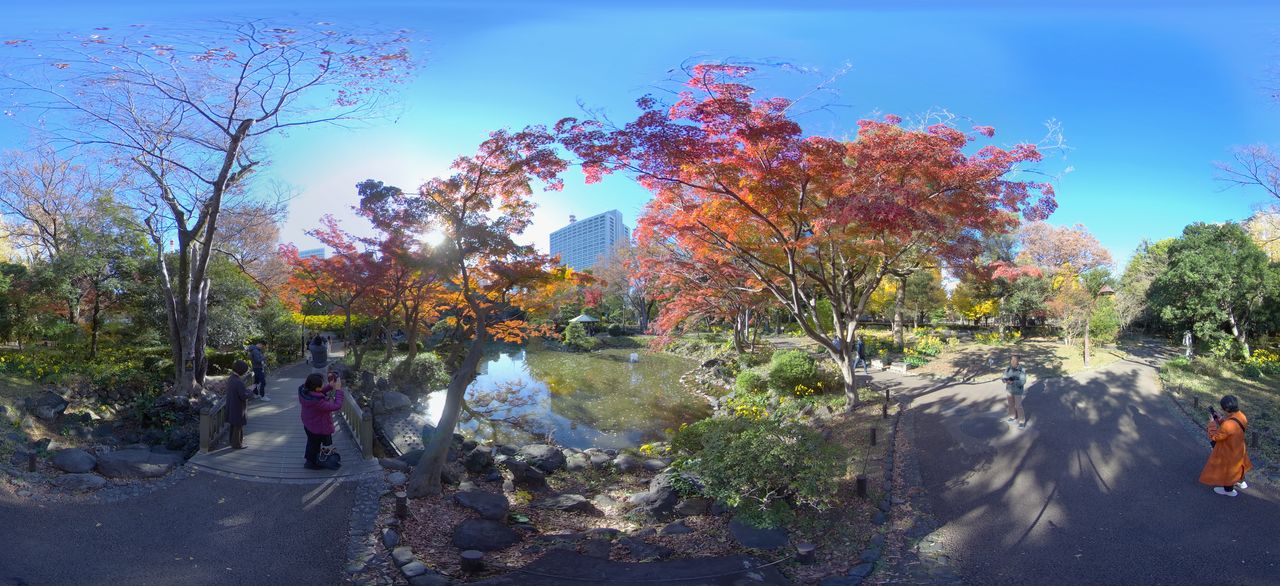 Le parc Hibiya, près du palais impérial. Chaque saison, les promeneurs se délectent des magnifiques couleurs des érables, des cerisiers et de nombreuses espèces de fleurs occidentales et japonaises.