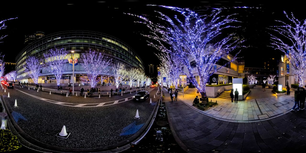 Les illuminations de l’allée Keyaki-zaka se tiennent annuellement depuis l’ouverture du complexe Roppongi Hills en 2003. Environs 800 000 LED sont installées sur plus de 400 mètres.