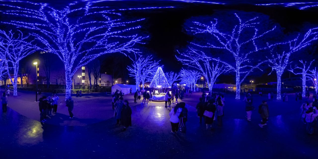 En décembre, le Grotte bleue de Shibuya nous plonge dans l’ambiance des fêtes de fin d’année grâce à ses 770 000 lumières décorant les arbres qui mènent au parc Yoyogi.
