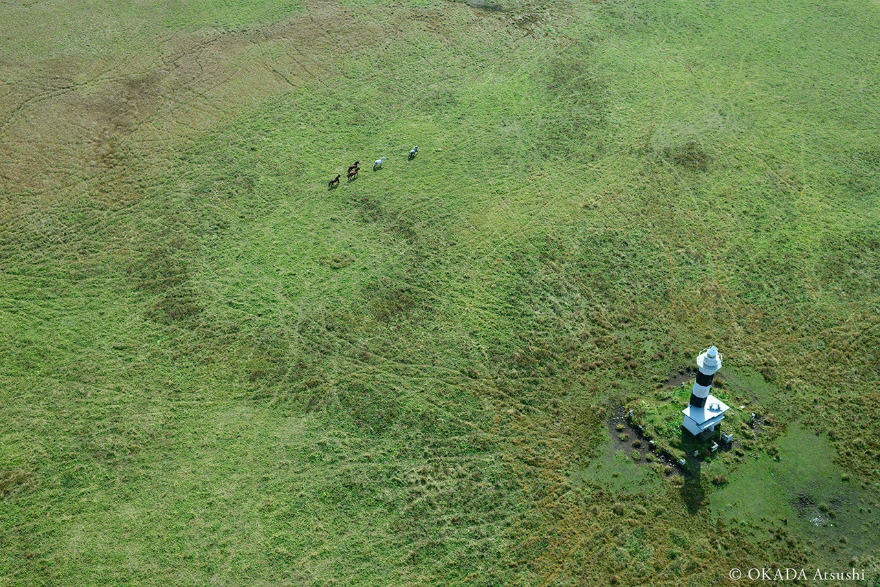 Les traces vues du ciel. La photo a été prise depuis un parapente. Les sentiers créés par les chevaux autour du phare ressemblent aux nervures d’une feuille. (octobre 2014 © Okada Atsushi)