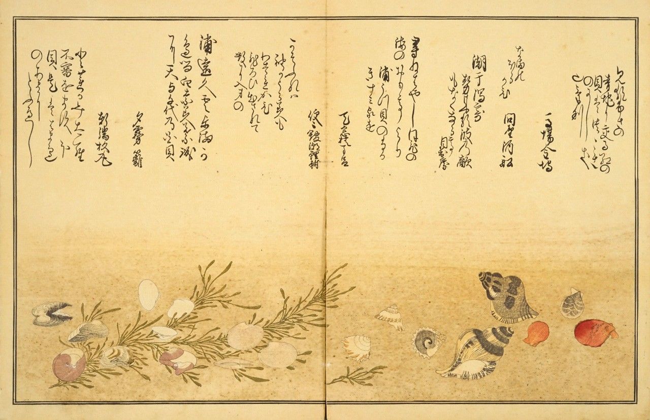 « À marée basse » (Shiohi no tsuto) de Kitagawa Utamaro. (Collections de la Bibliothèque nationale du Japon)