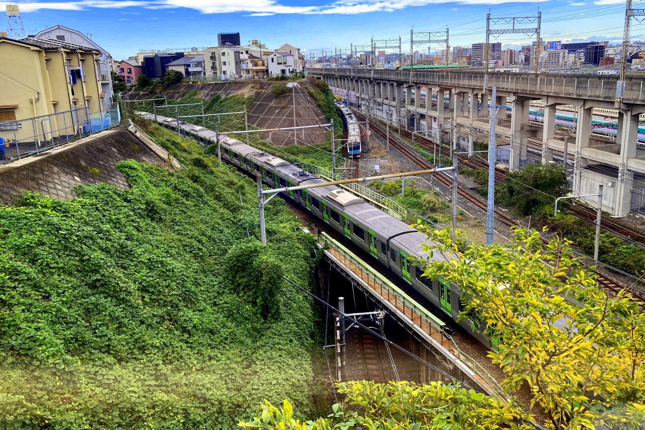 Un train de la Yamanote longe la crête abrupte de Tabata, suivant la fracture entre les maisons en surplomb et l’enchevêtrement de voies en contrebas.