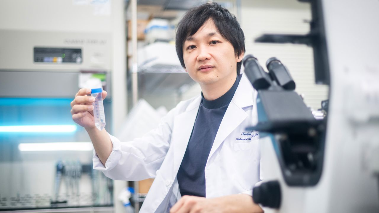 Cutting-Edge Research on iPS Cell-Derived Organoids