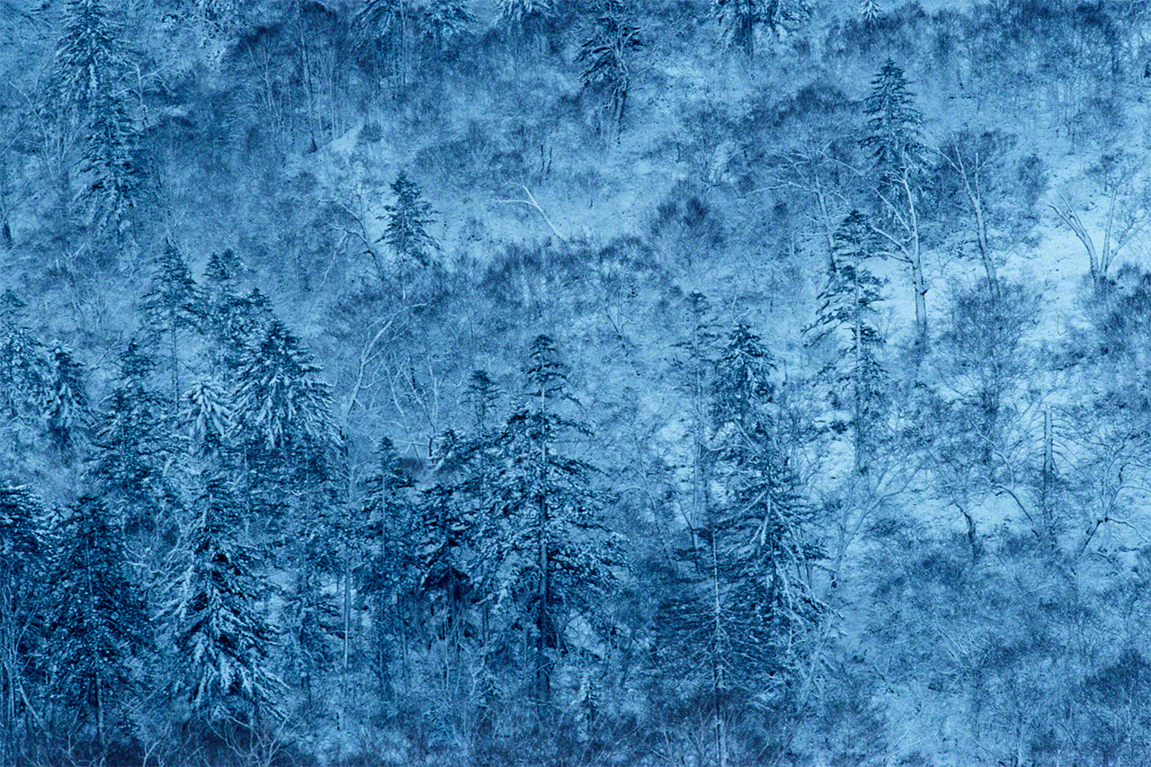 À la mi-novembre, les montagnes de la partie est du Hokkaidô sont déjà recouvertes de neige. (© Mizukoshi Takeshi)