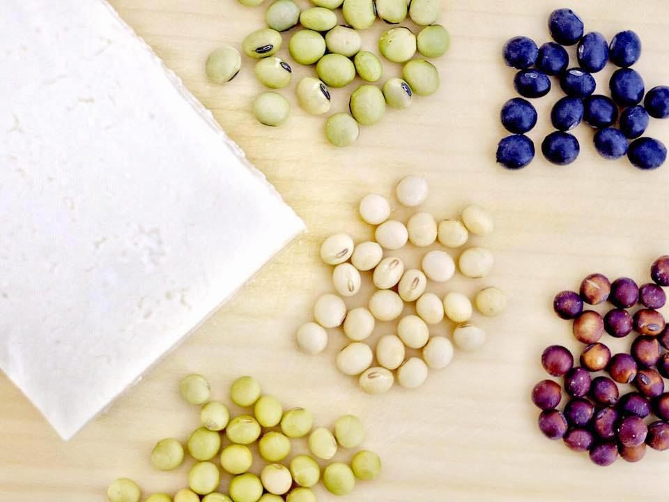 Des graines de soja de différentes variétés (© Kudō Shiori)