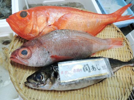 Trois poissons de luxe vendus en ligne. (de haut en bas) Béryx long, ,odoguro et sekiaji.