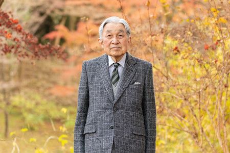 L'empereur retiré Akihito dans les jardins du palais Sentô-gosho le 8 décembre.
