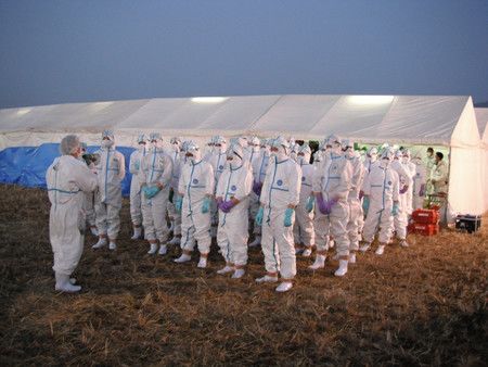 Opération de décontamination dans une ferme de la ville de Kawaminami, dans la préfecture de Miyazaki le 10 janvier.