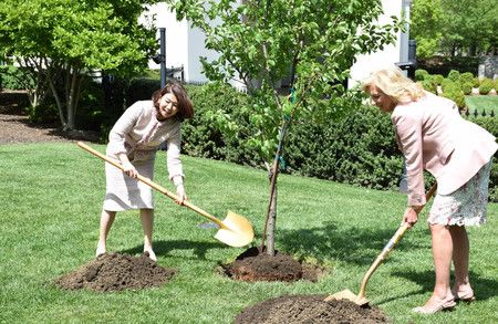 Les deux femmes ont planté un cerisier sur le terrain de la Maison blanche. « Cet arbre est le symbole de l'amitié éternelle entre nos deux nations », a dit Kishida Yûko.