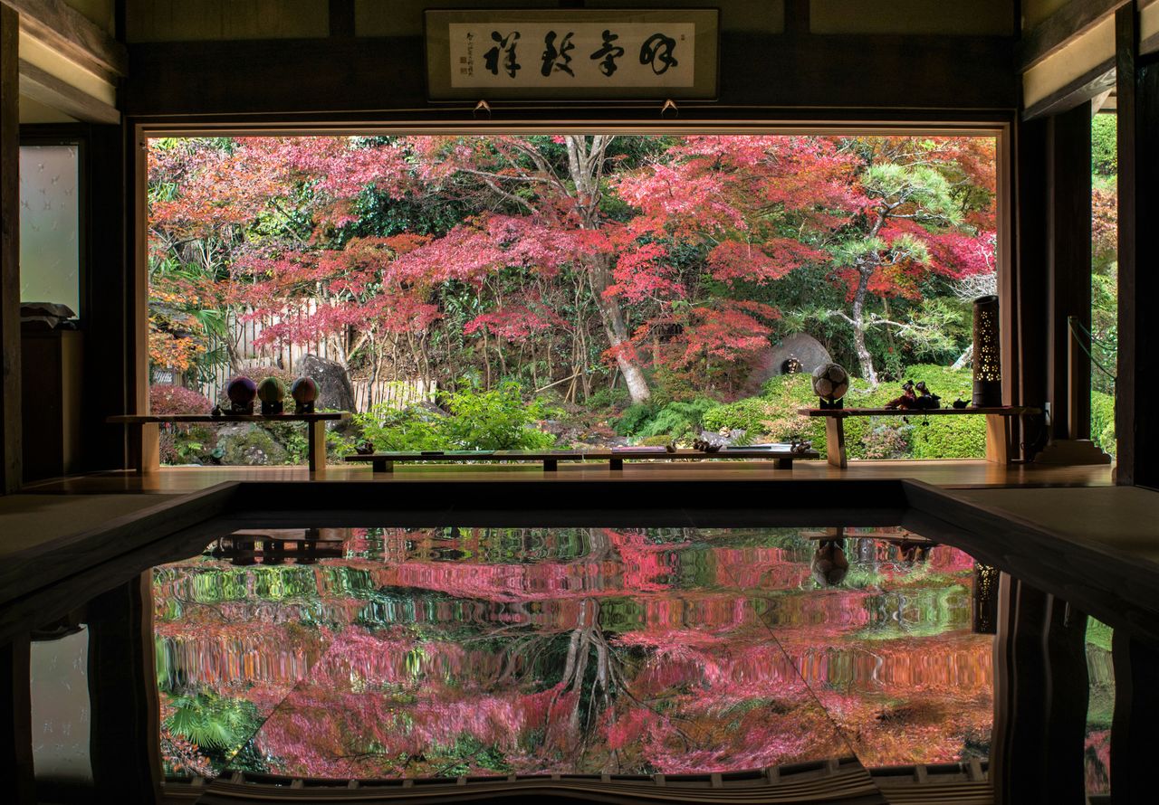 Le temple Jufuku-ji a été construit à l’époque d’Edo (1603-1868) en tant que temple familial du clan Hirado. Le spectacle esquissé par le reflet du feuillage au sol du grand hall est à couper le souffle. (© Pixta)