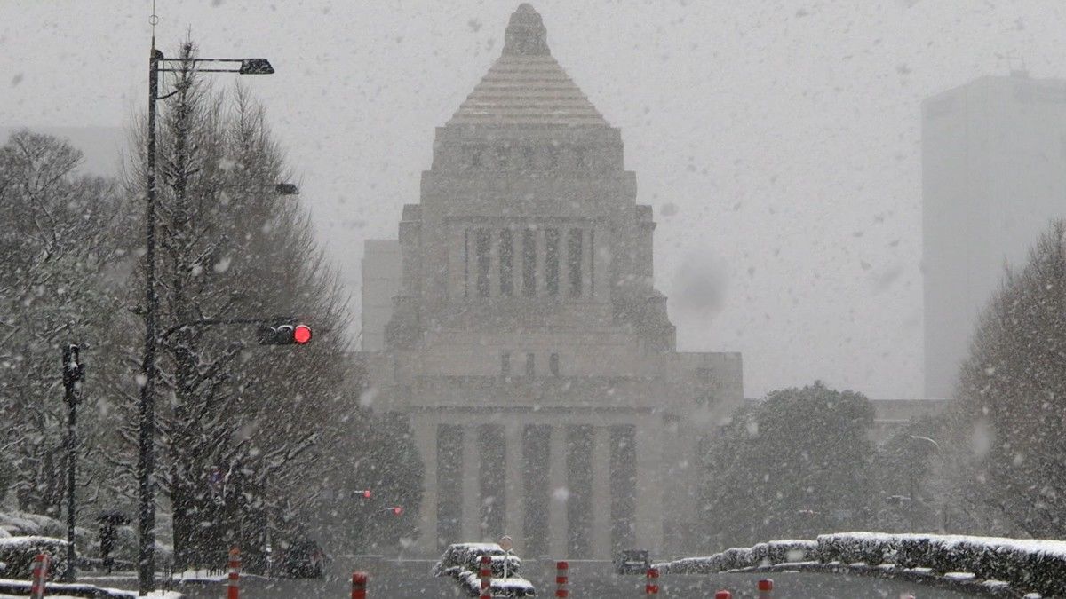 [Vidéo] De la neige dans le centre de Tokyo