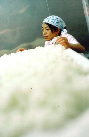 Imada Miho en pleine fabrication de ferment de riz (kôji)
