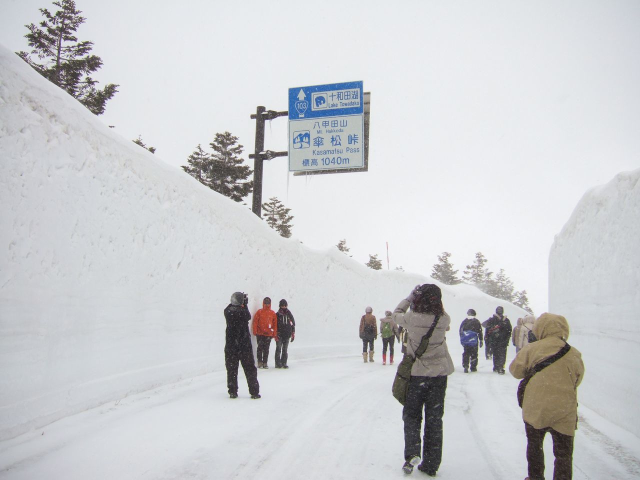 Le couloir de neige, ouvert en avant-première uniquement pour les piétons les 30 et 31 mars 2019. (Photo avec l’aimable autorisation de la fédération des offices de tourisme de la préfecture d’Aomori)