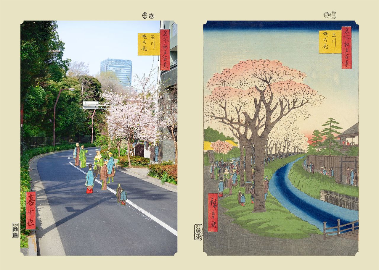 À droite : « Les fleurs des berges de Tamagawa » (titre original : Tamagawa tsutsumi no hana), la 42e entrée de la série Cent vues d’Edo, de Utagawa Hiroshige.