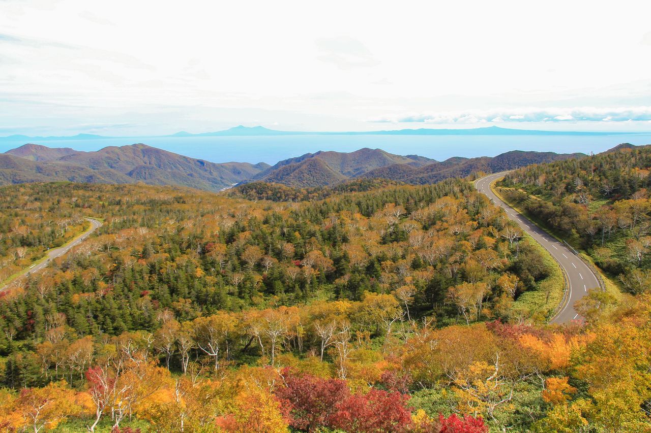 秋季的紅葉令人陶醉　照片提供：知床斜裡町觀光協會