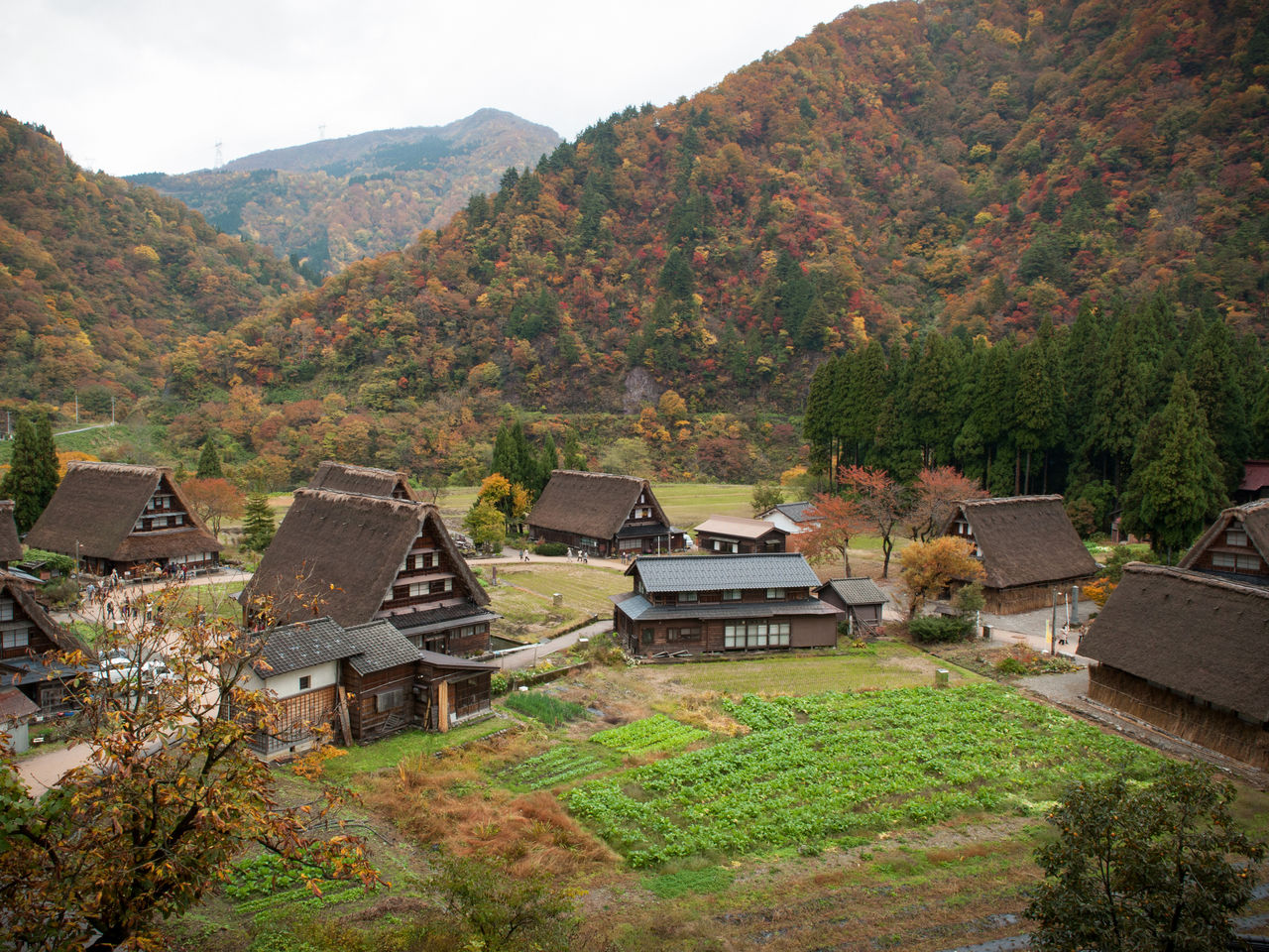 秋色中的菅沼村落更顯恬靜美麗