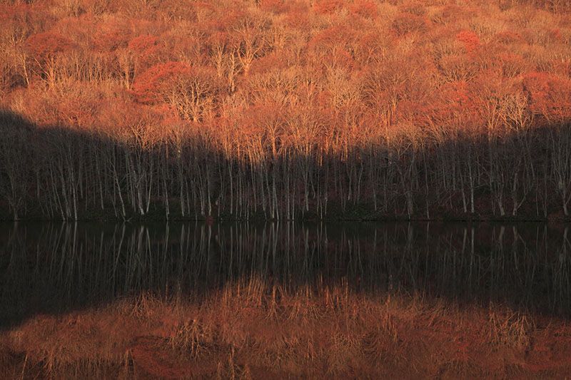 蔦沼水面的「紅葉倒影」（圖片提供：十和田市）
