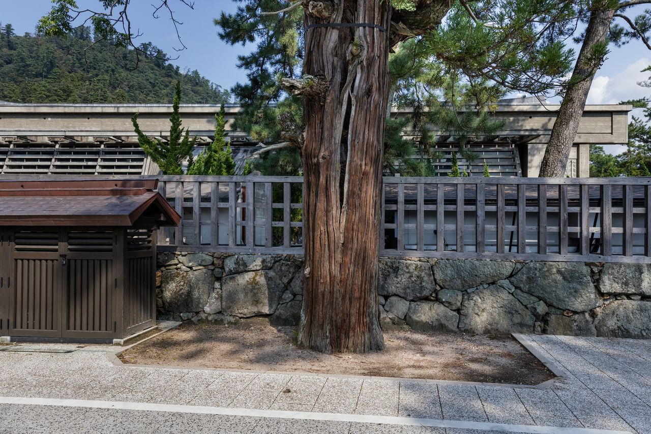 攝於2016年9月9日 © Jérémie Souteyrat