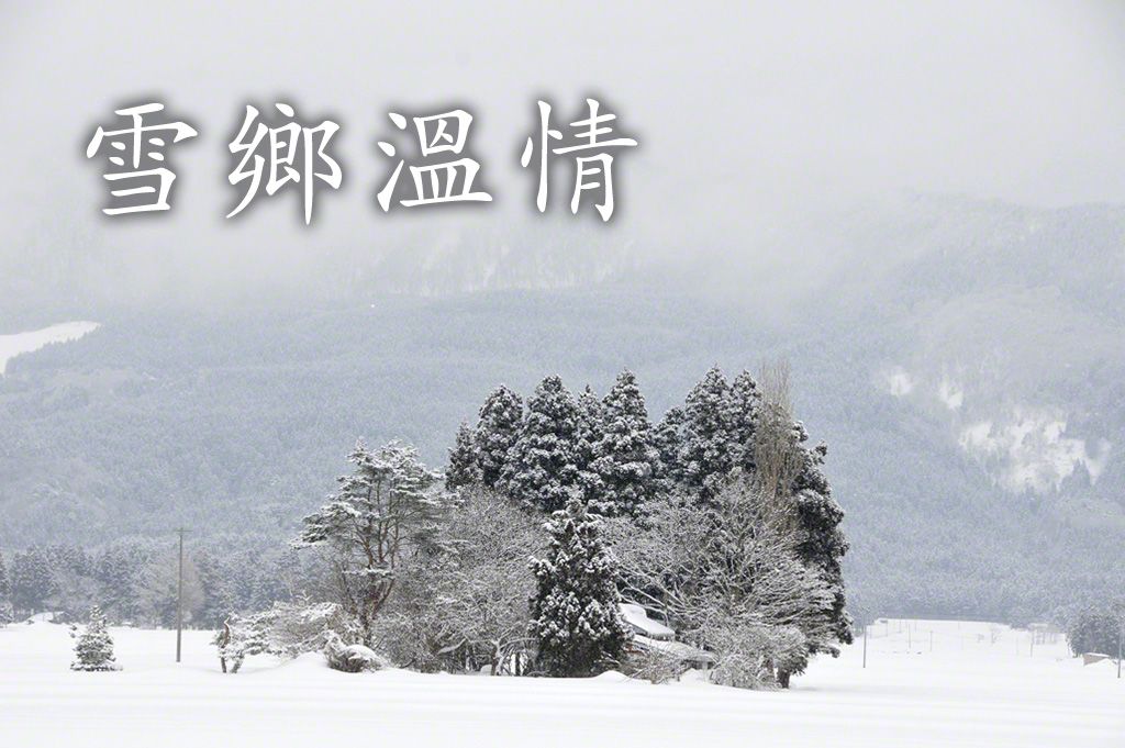 為房屋遮風擋雪的房地林(秋田縣仙北市角館)