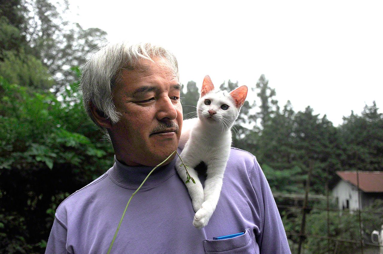 「孩提時代」的小白頭上有個「八」字紋樣,隨著年齡成長越來越淺,最後消失