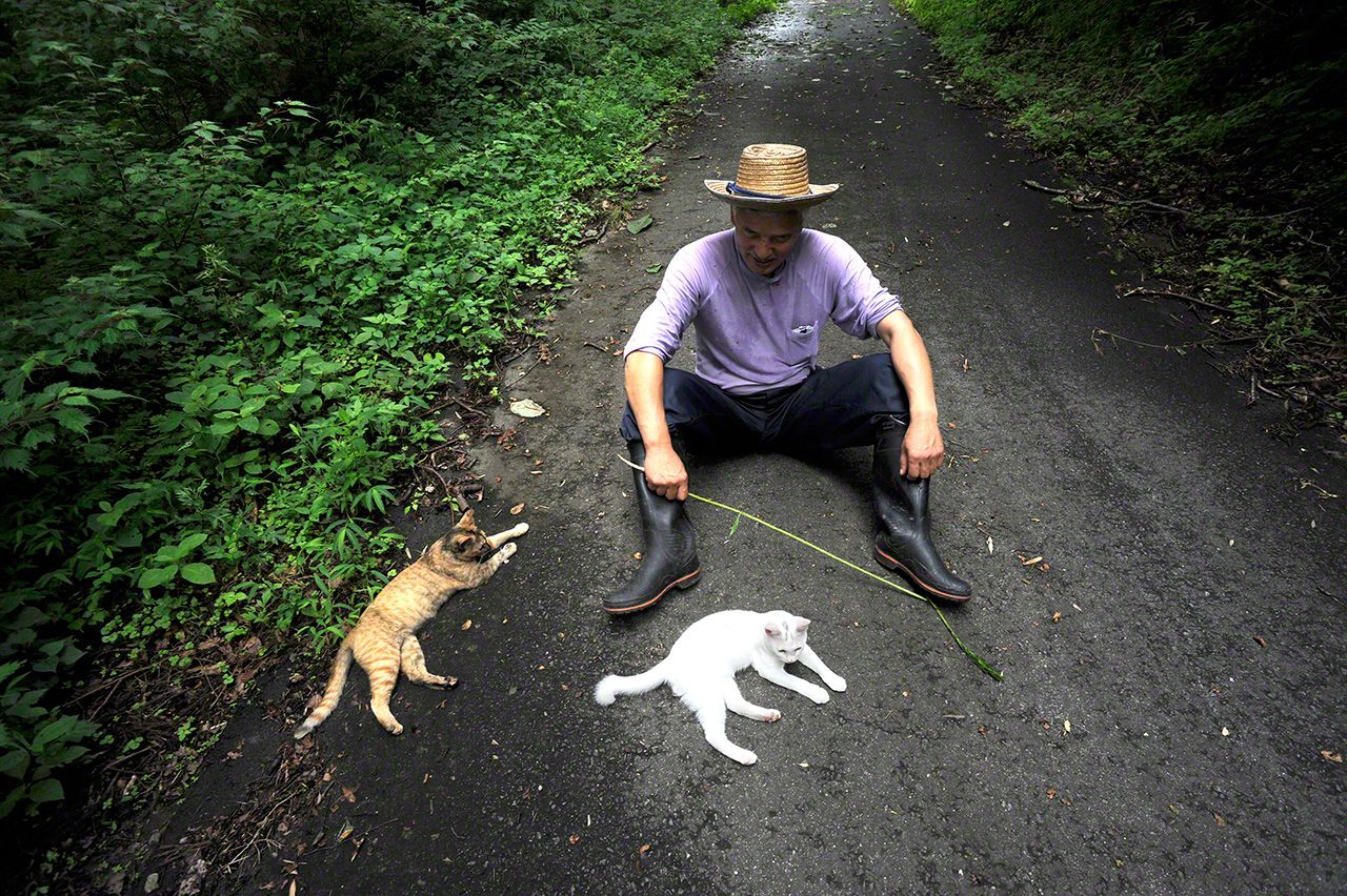 陣雨般時停時起的蟬鳴聲中,躲在樹蔭下休憩一會。涼涼的柏油路感覺不錯
