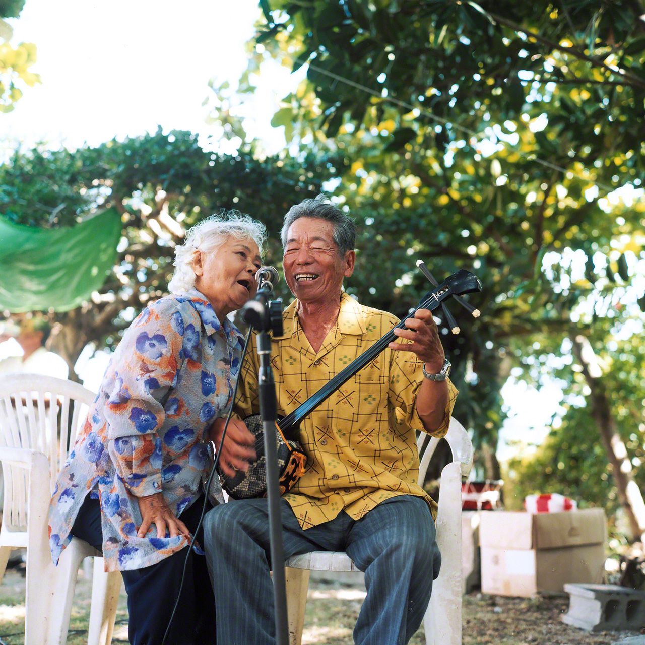 西表島船浮的「節祭」活動。儀式結束後的節目表演中,三線琴是演唱民謠時必不可缺的樂器