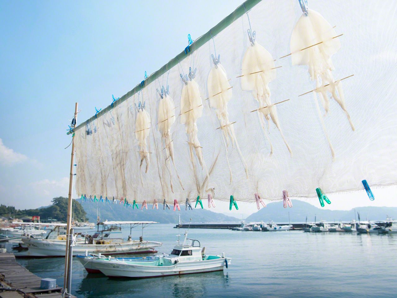 晾曬的烏賊幹飄蕩在晴朗的天空中(津和地島)