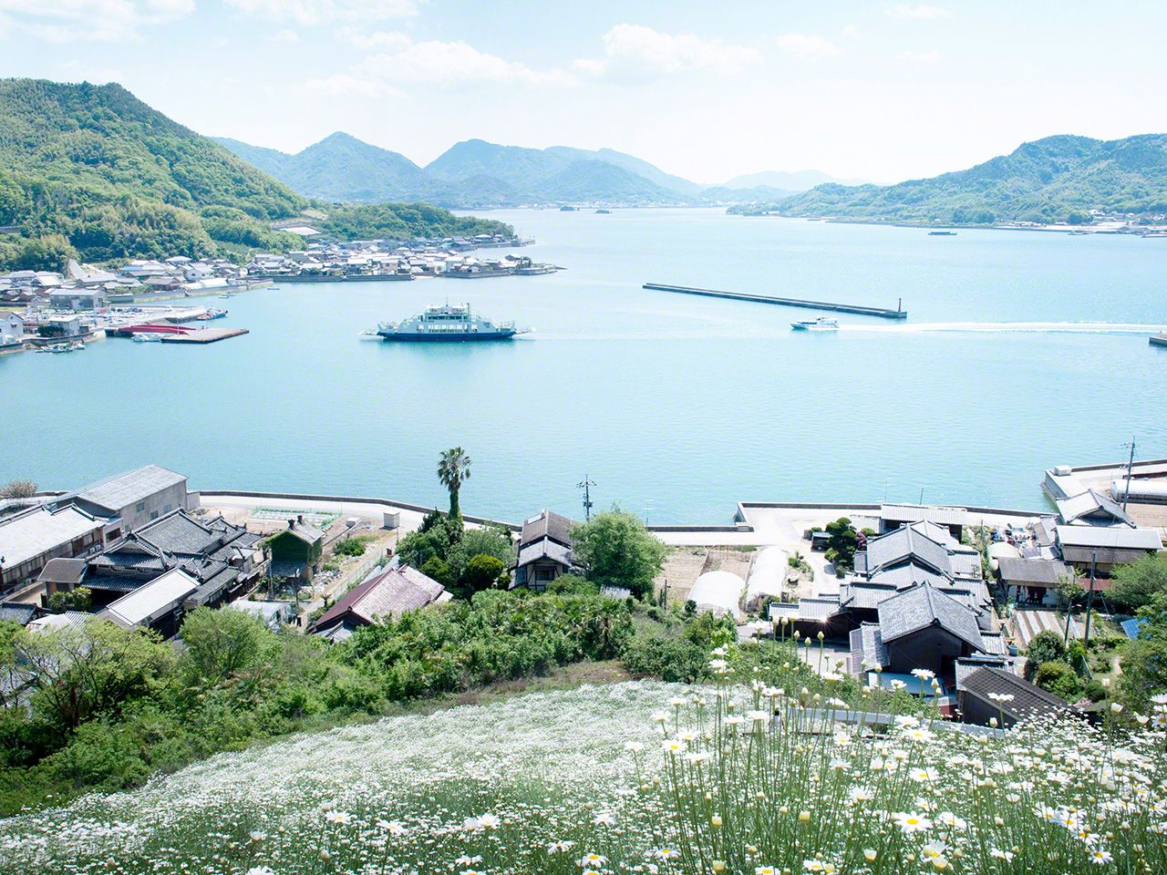 渡輪駛入以除蟲菊聞名的因島重井港(因島)