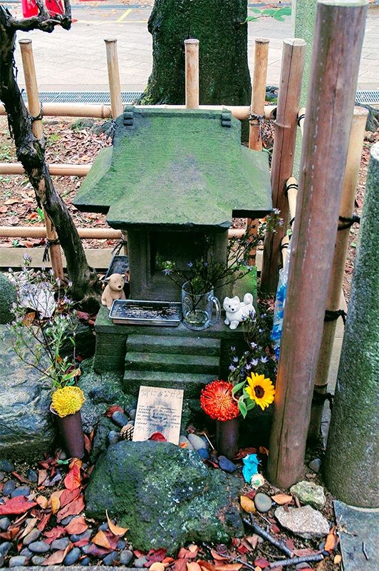 青山靈園的上野家墓園裏的小八墳墓