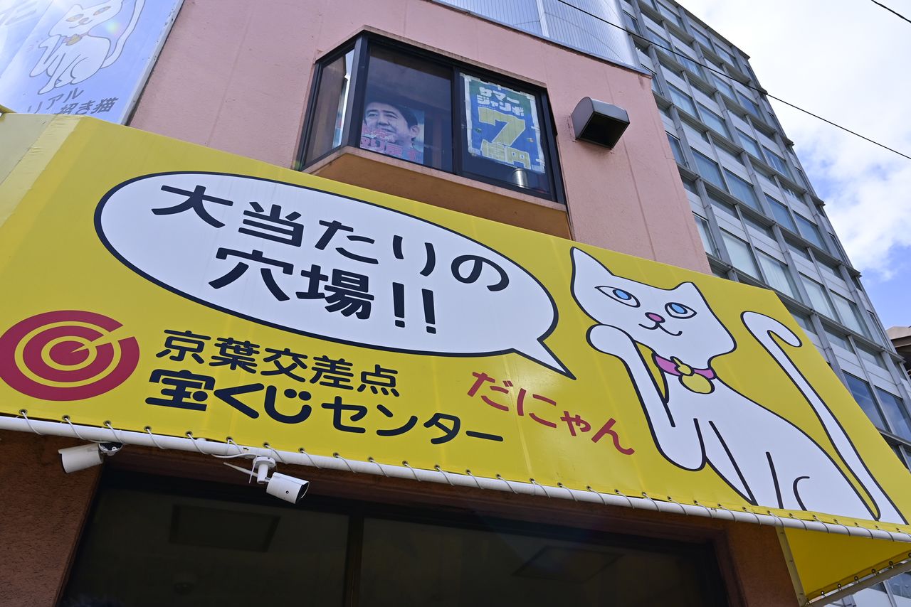「Mako-chan」是彩券店招牌貓